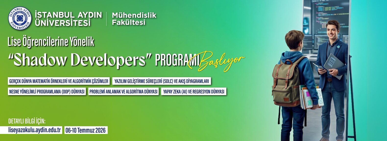 Shadow Developers